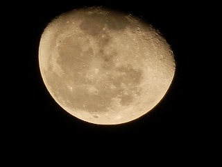 s-2011-12-14_22.34.44.jpg